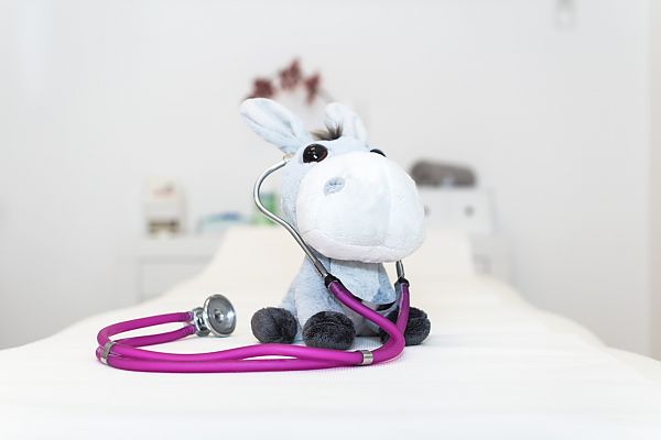 Kuscheltier für Kinder